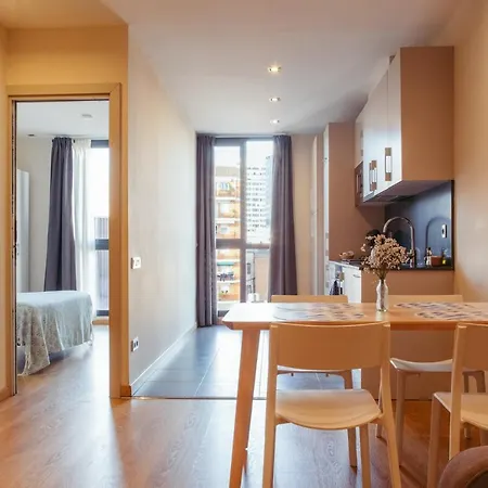 Casa Felipa Plaza Espana Apartment Barcelona